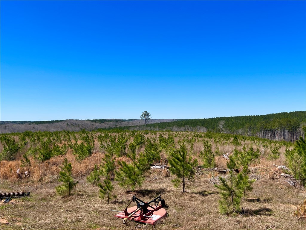 0 Sarah Simpson Road Iva, SC 29655 - Photo 29 of 37