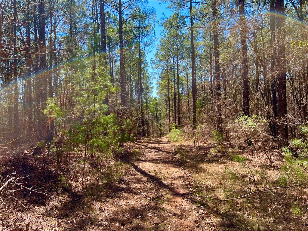 0 Sarah Simpson Road Iva, SC 29655 - Photo 29 of 36