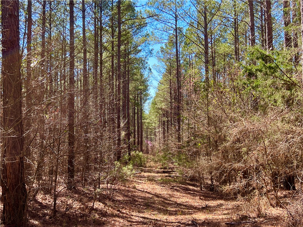 0 Sarah Simpson Road Iva, SC 29655 - Photo 30 of 36