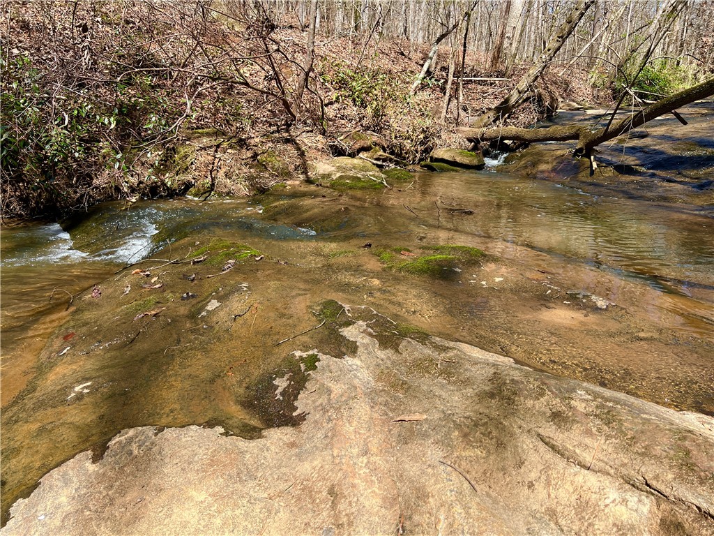0 Sarah Simpson Road Iva, SC 29655 - Photo 3 of 37