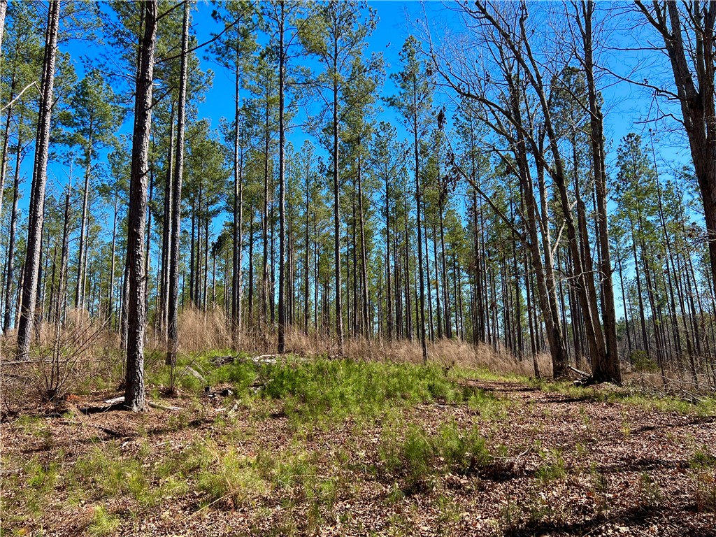 0 Sarah Simpson Road Iva, SC 29655 - Photo 32 of 37