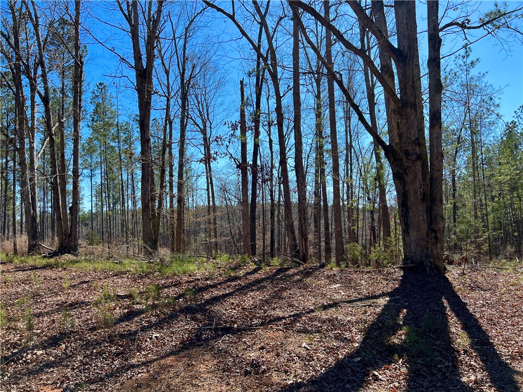 0 Sarah Simpson Road Iva, SC 29655 - Photo 35 of 37