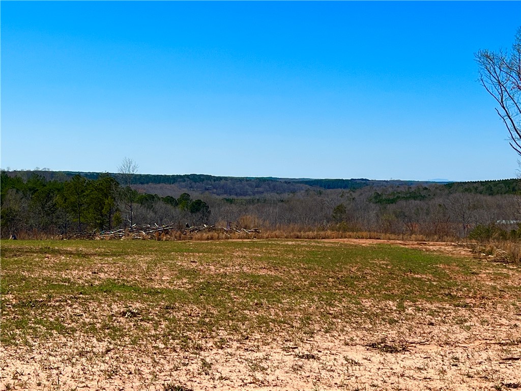 0 Sarah Simpson Road Iva, SC 29655 - Photo 36 of 37