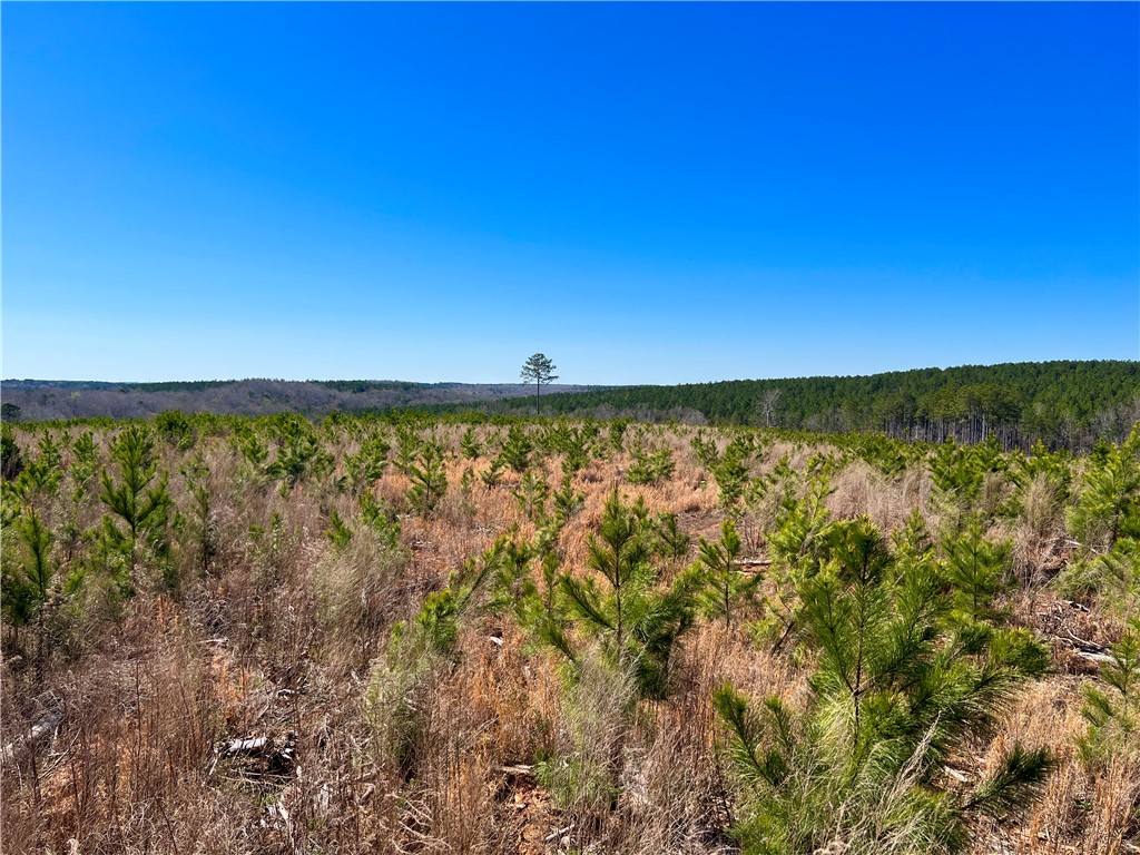 0 Sarah Simpson Road Iva, SC 29655 - Photo 37 of 37