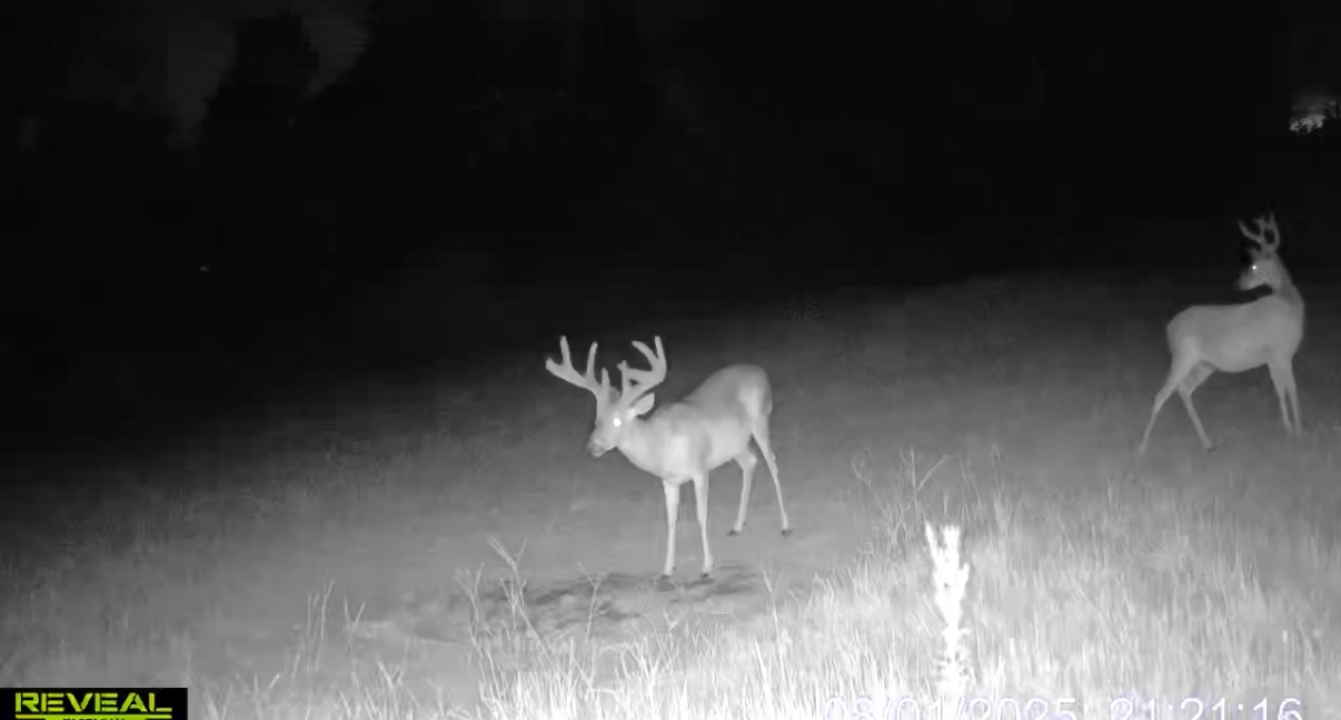 0 Sarah Simpson Road Iva, SC 29655 - Photo 6 of 37