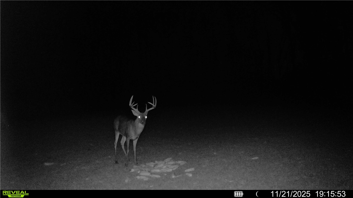 0 Sarah Simpson Road Iva, SC 29655 - Photo 8 of 37