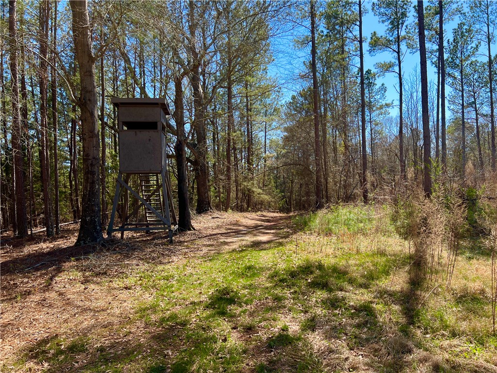 0 Sarah Simpson Road Iva, SC 29655 - Photo 9 of 36