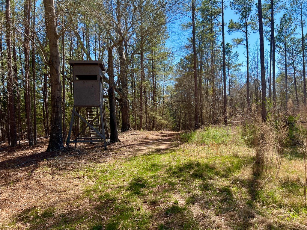 0 Sarah Simpson Road Iva, SC 29655 - Photo 9 of 37