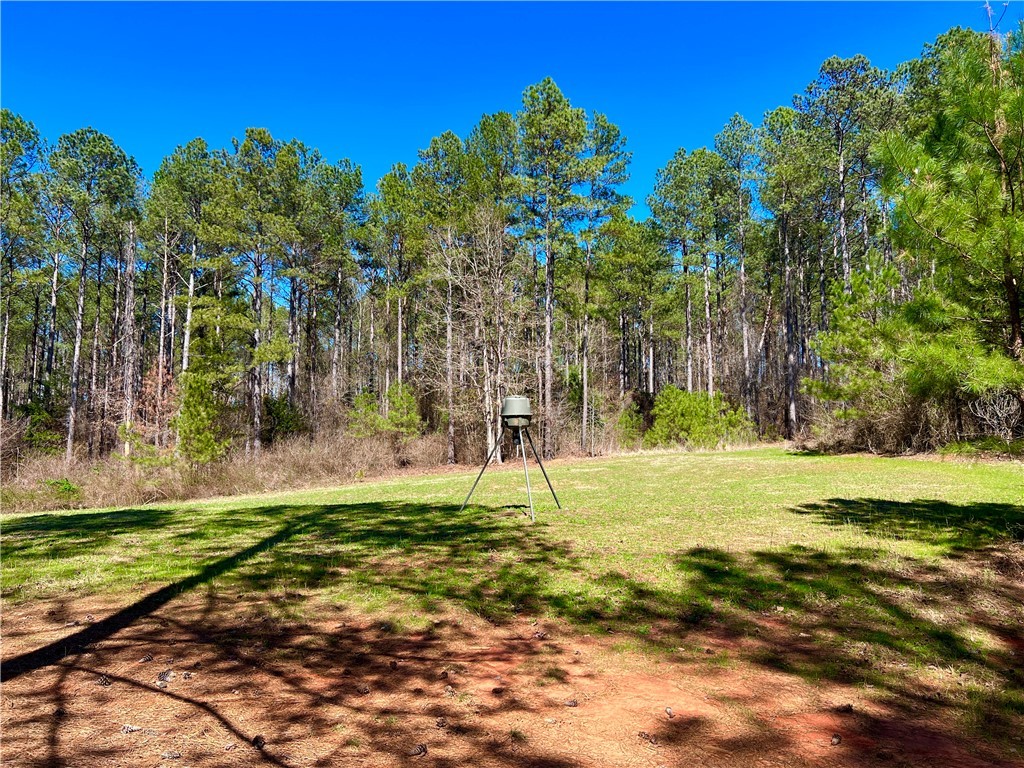 0 Sarah Simpson Road Iva, SC 29655 - Photo 10 of 37