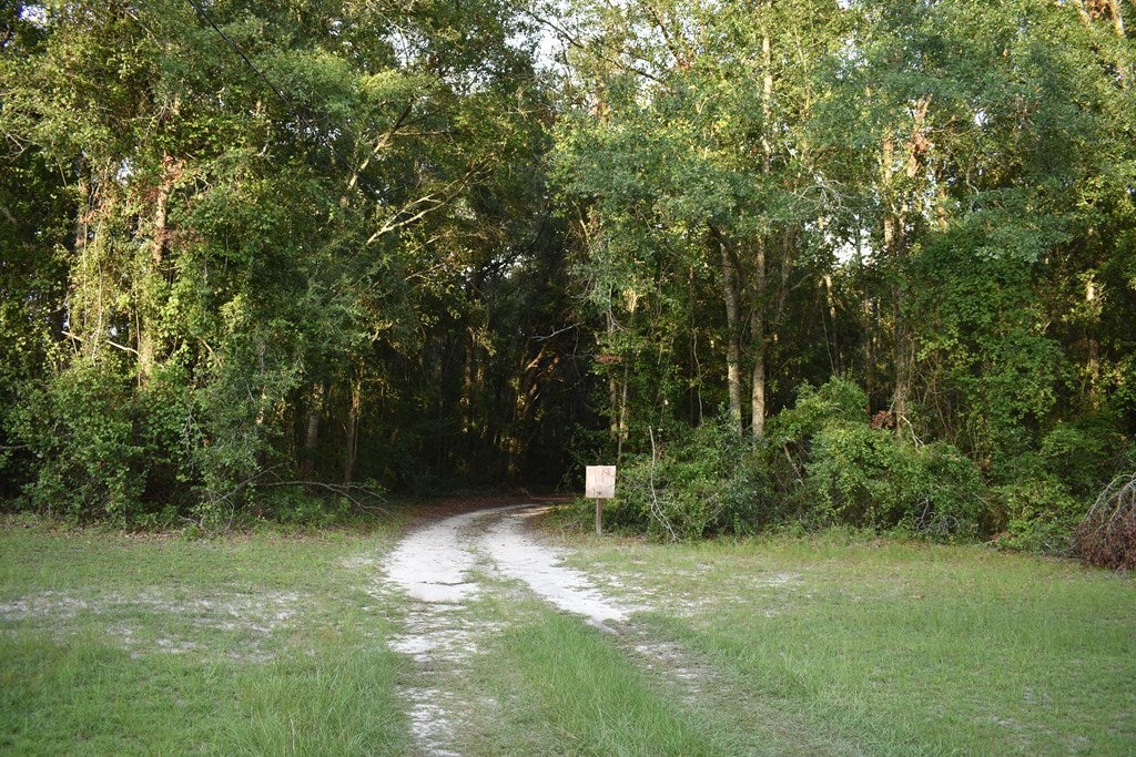 68 Barber Road Ray City, GA 31645 - Photo 11 of 23 Gallery Image 11