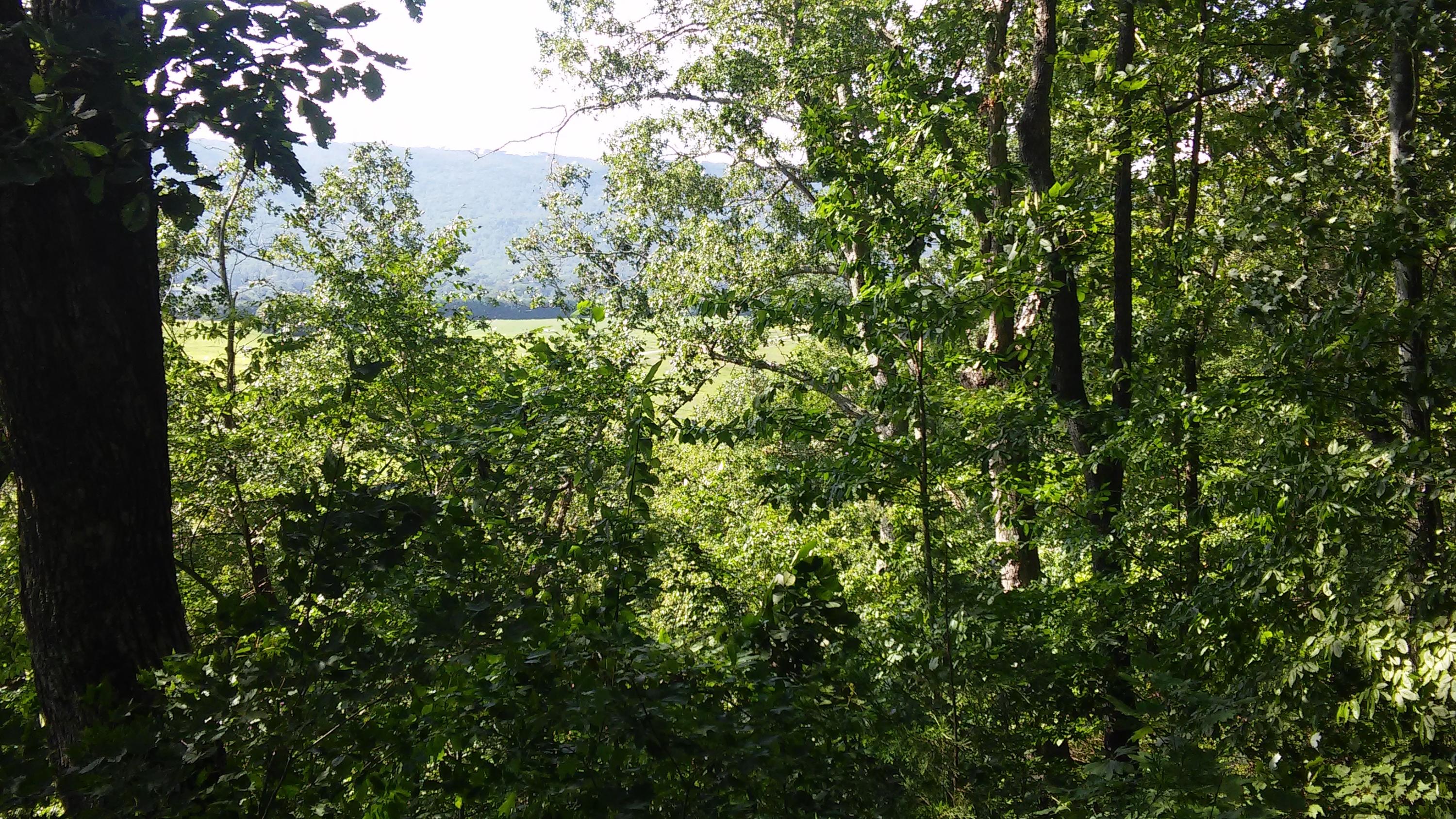 1233 Knotty Pine Road Dunlap, TN 37327 - Photo 1 of 28 Gorgeous Views