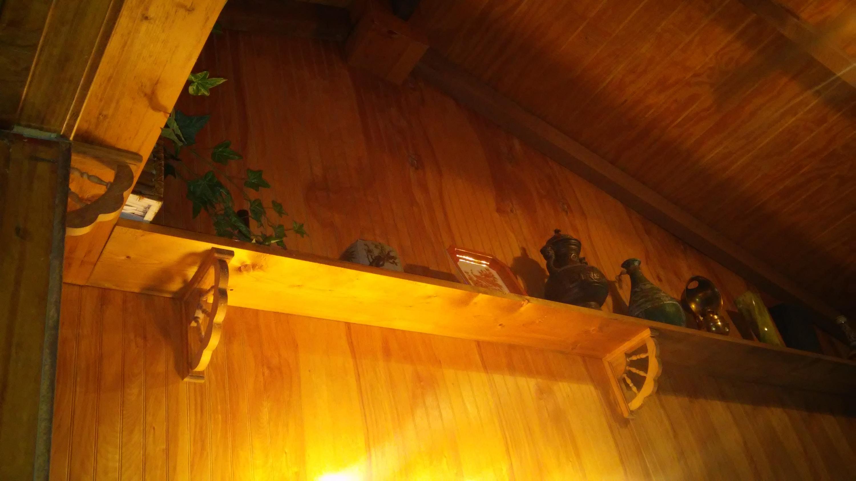 1233 Knotty Pine Road Dunlap, TN 37327 - Photo 13 of 28 wood ceiling