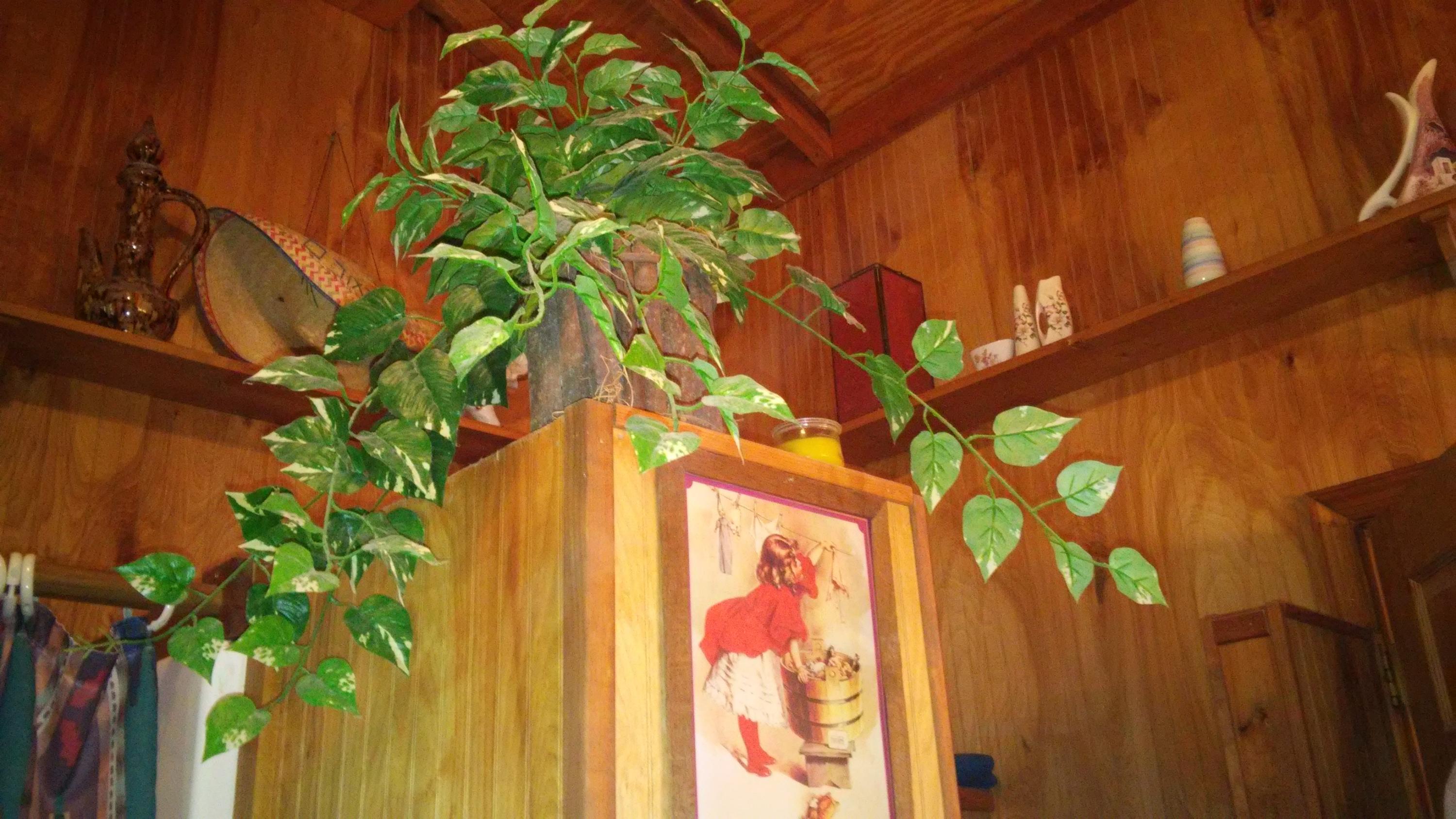 1233 Knotty Pine Road Dunlap, TN 37327 - Photo 14 of 28 wood ceiling