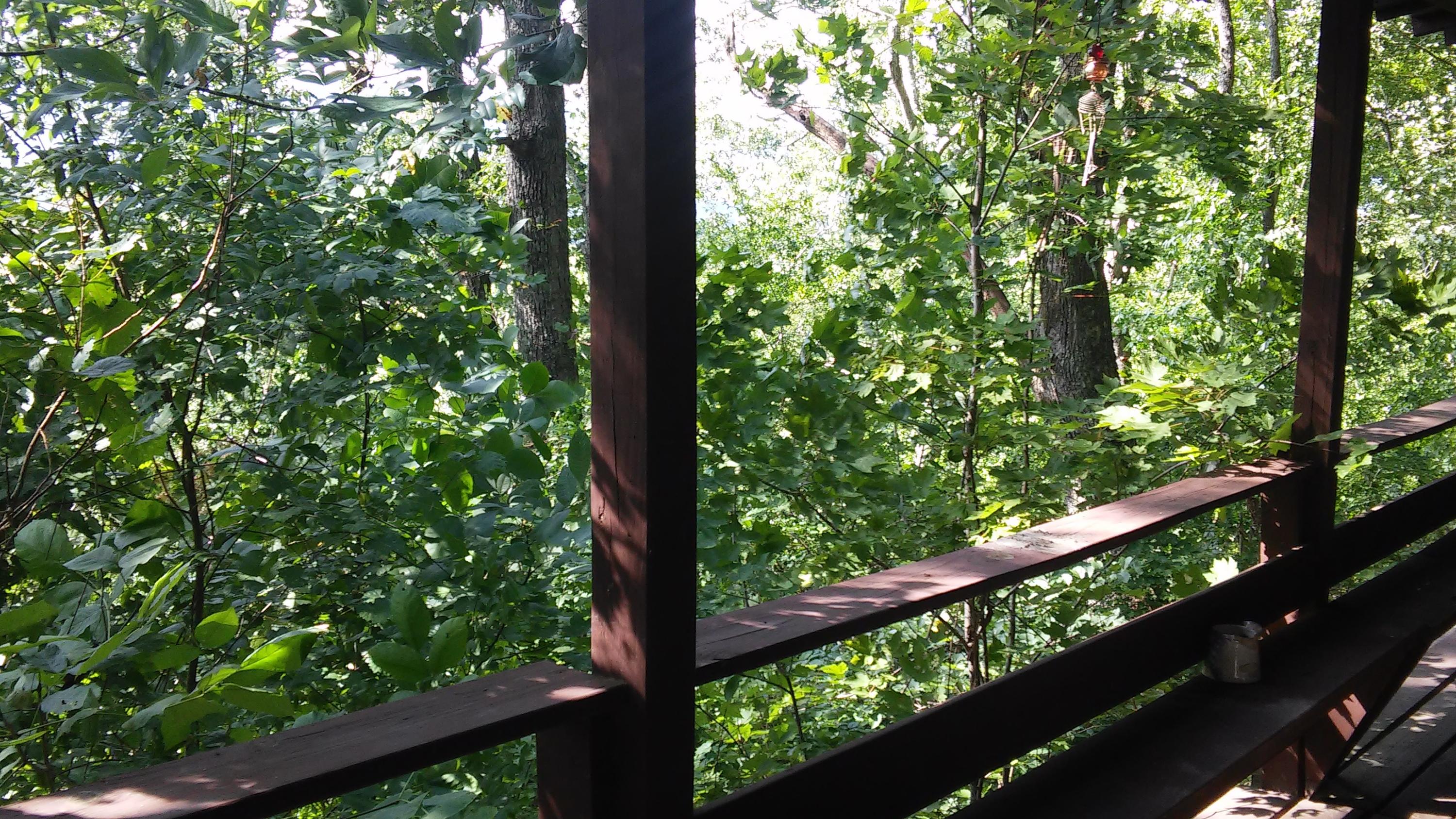 1233 Knotty Pine Road Dunlap, TN 37327 - Photo 15 of 28 large deck