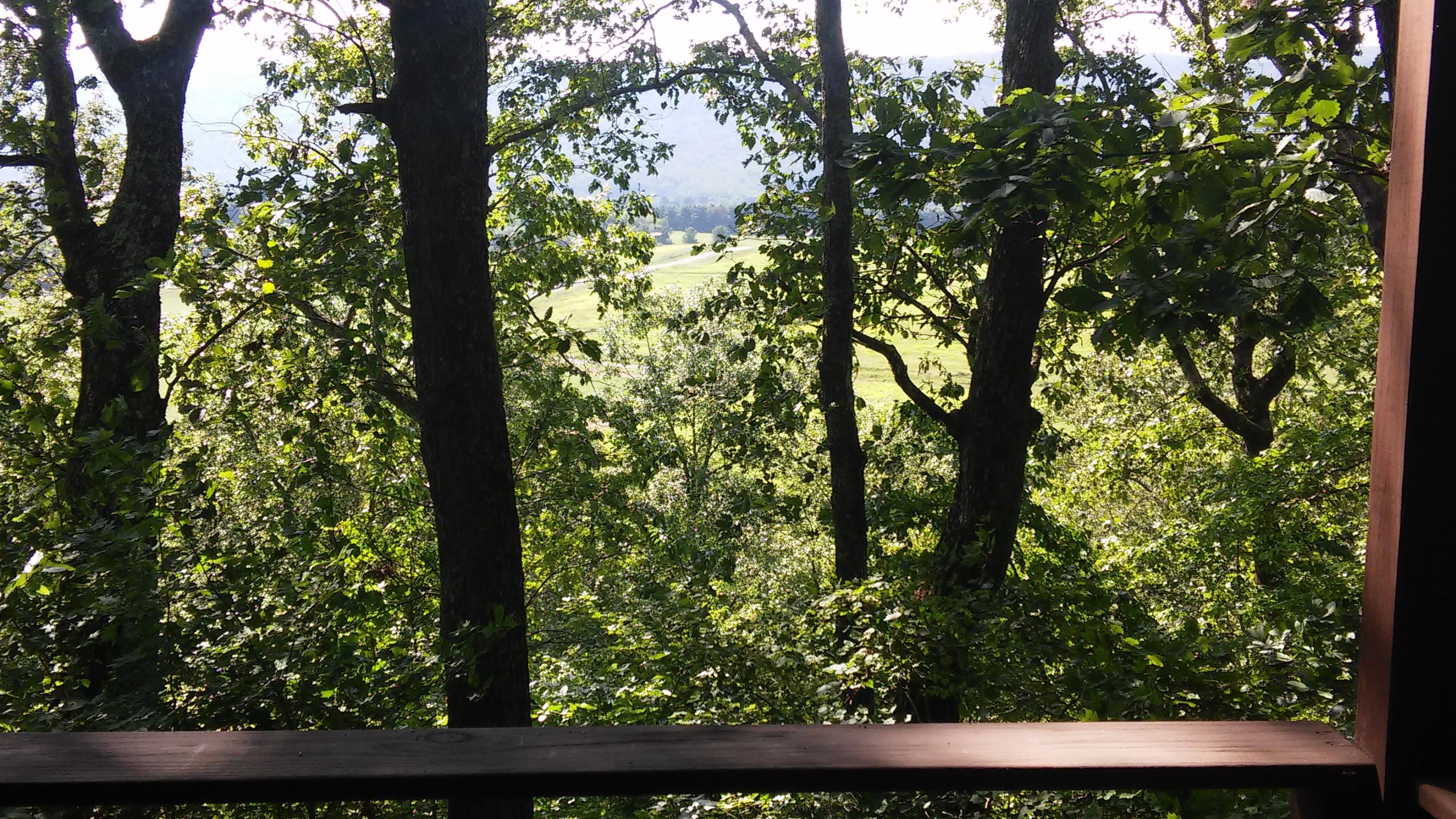 1233 Knotty Pine Road Dunlap, TN 37327 - Photo 19 of 28 Valley View
