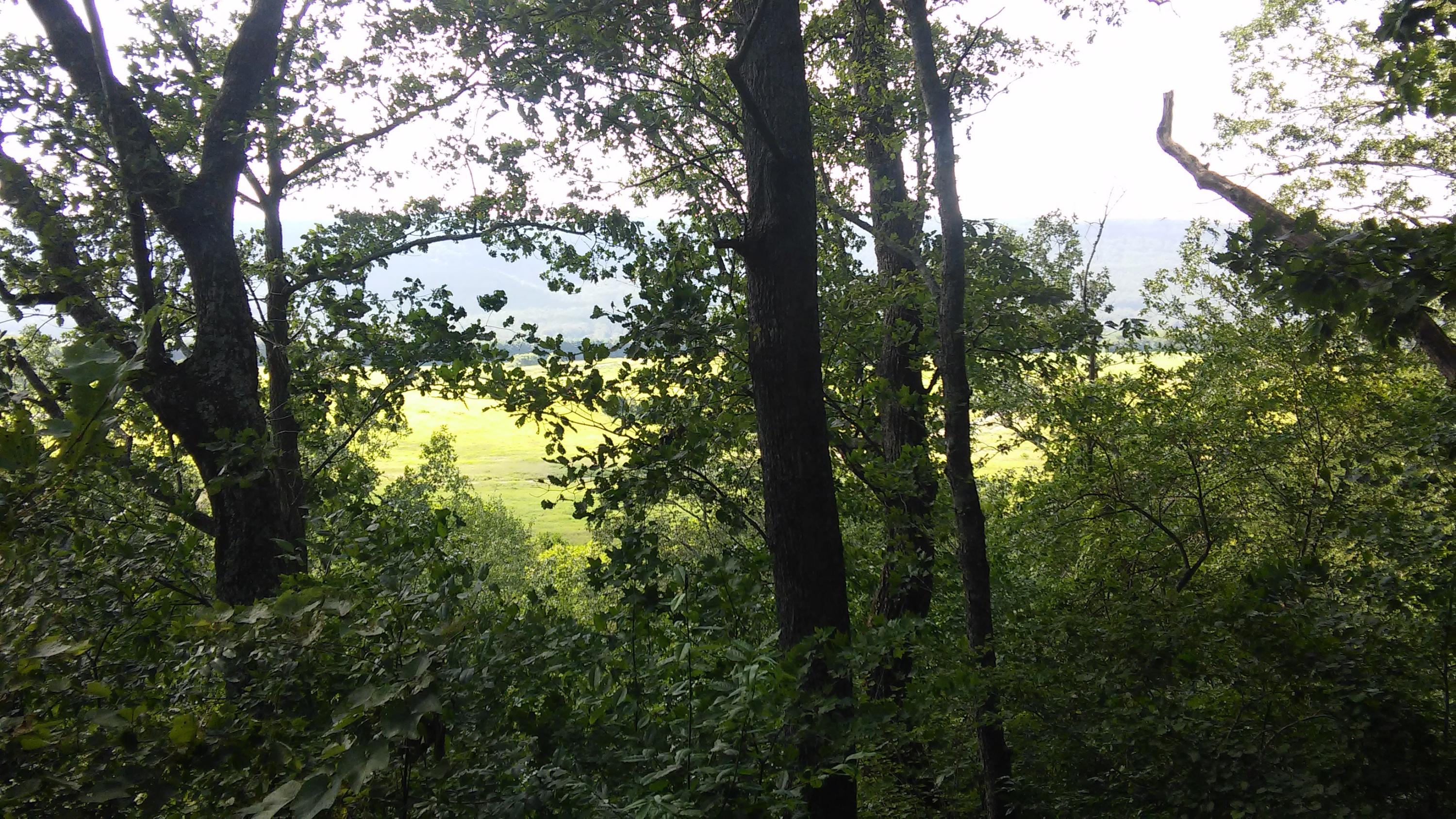 1233 Knotty Pine Road Dunlap, TN 37327 - Photo 21 of 28 MTN> Views