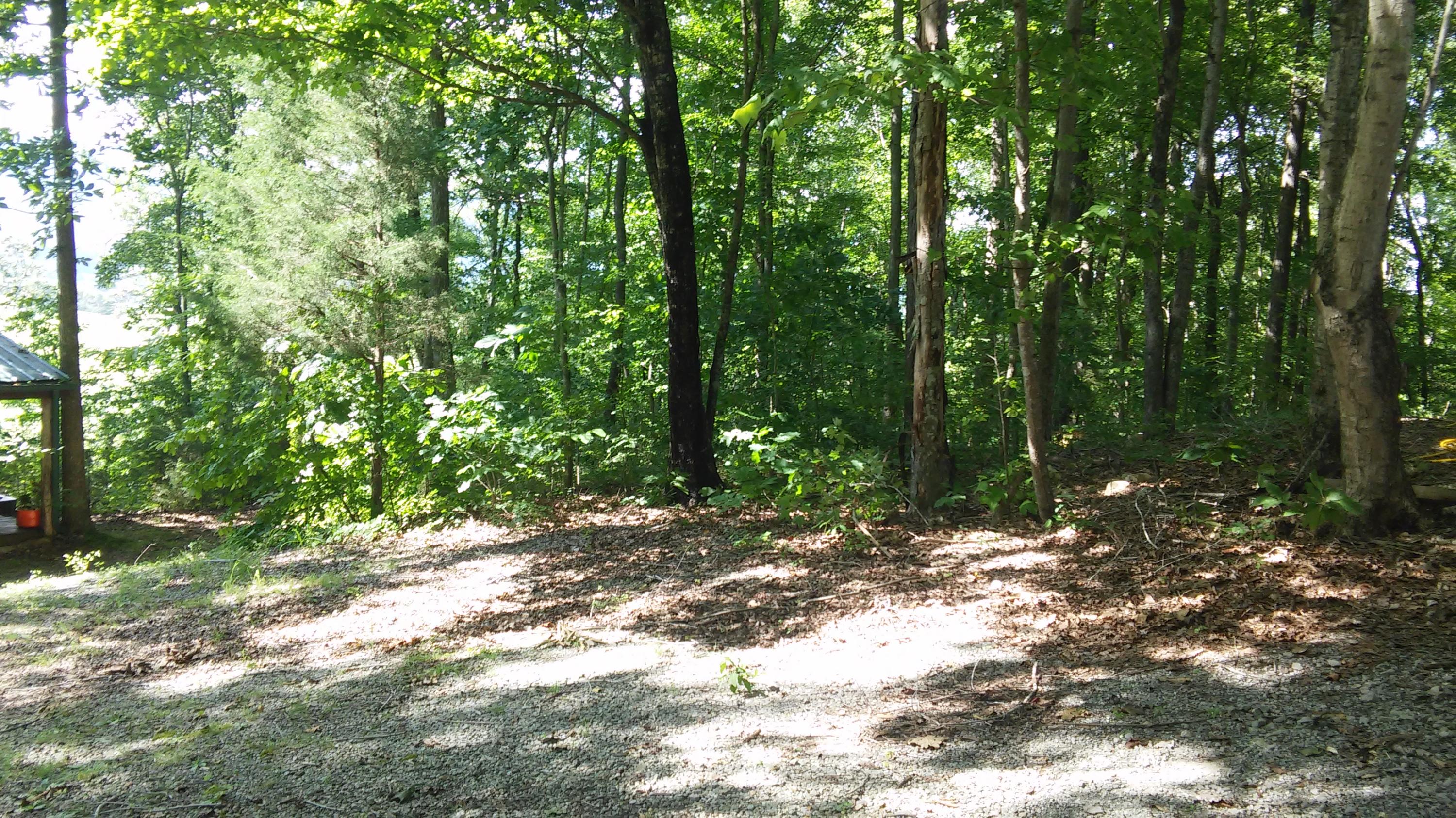 1233 Knotty Pine Road Dunlap, TN 37327 - Photo 22 of 28 wooded lot