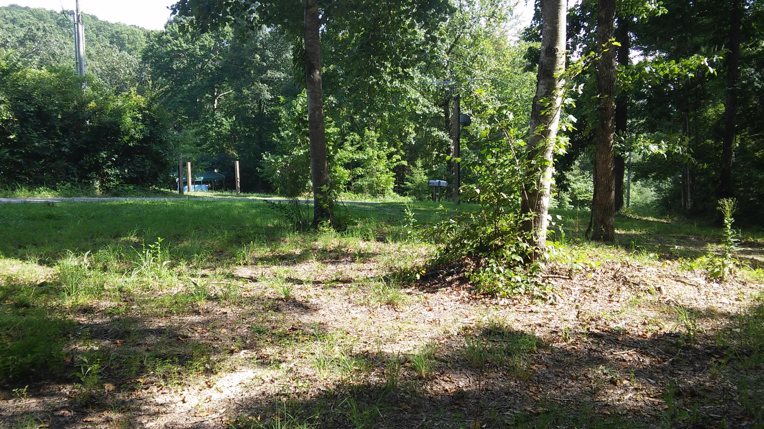 1233 Knotty Pine Road Dunlap, TN 37327 - Photo 24 of 28 level to slopping