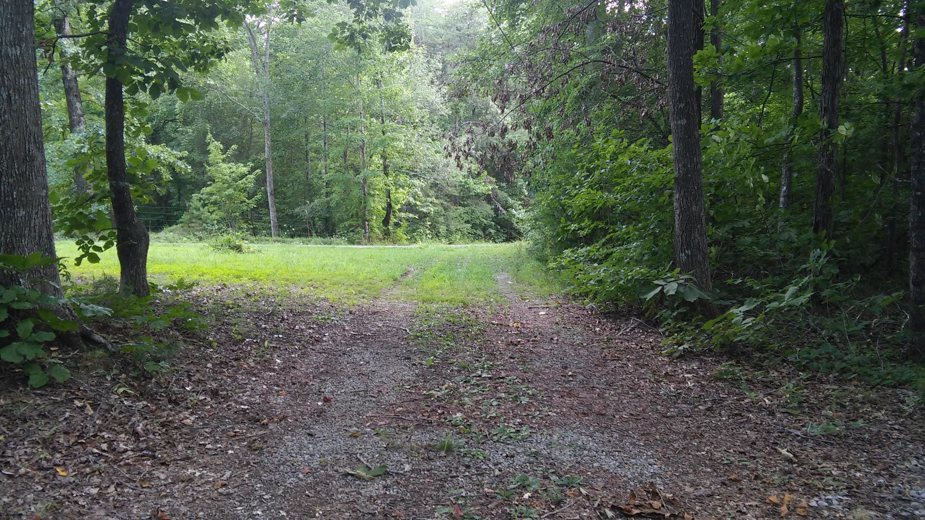 1233 Knotty Pine Road Dunlap, TN 37327 - Photo 25 of 28 drive