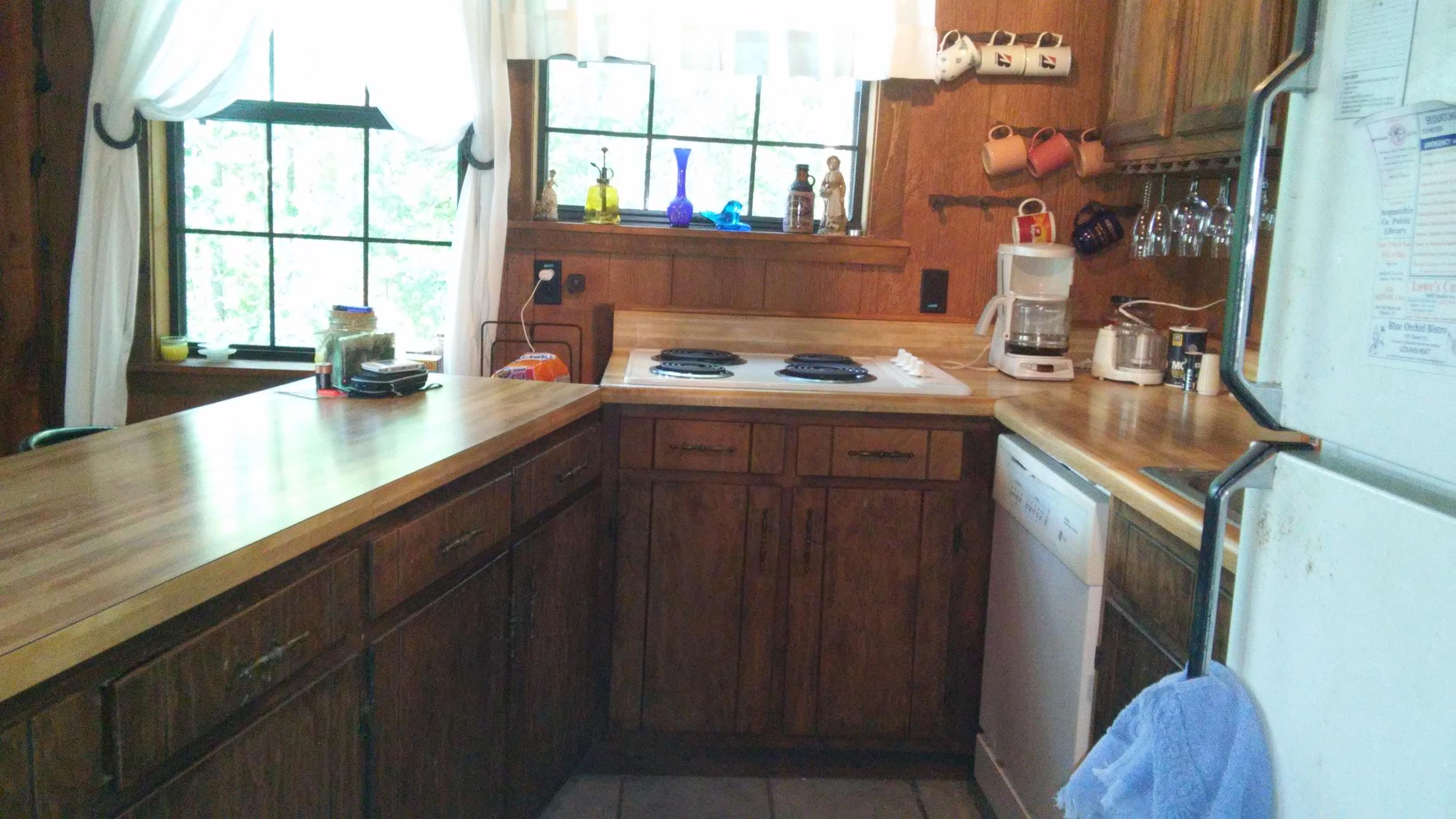 1233 Knotty Pine Road Dunlap, TN 37327 - Photo 5 of 28 kitchen