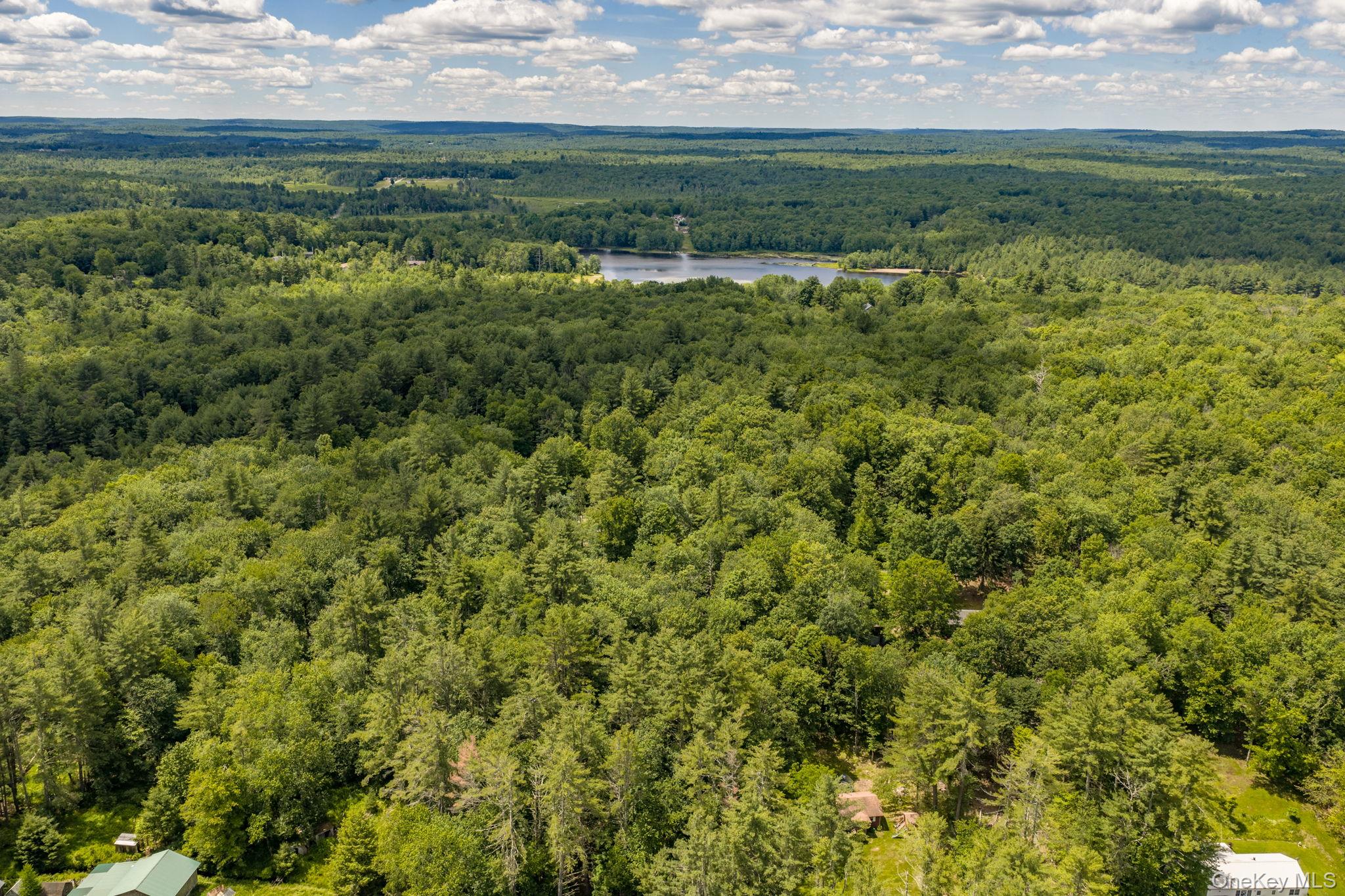 570 Brown Road Ellenville, NY 12428 - Photo 28 of 33