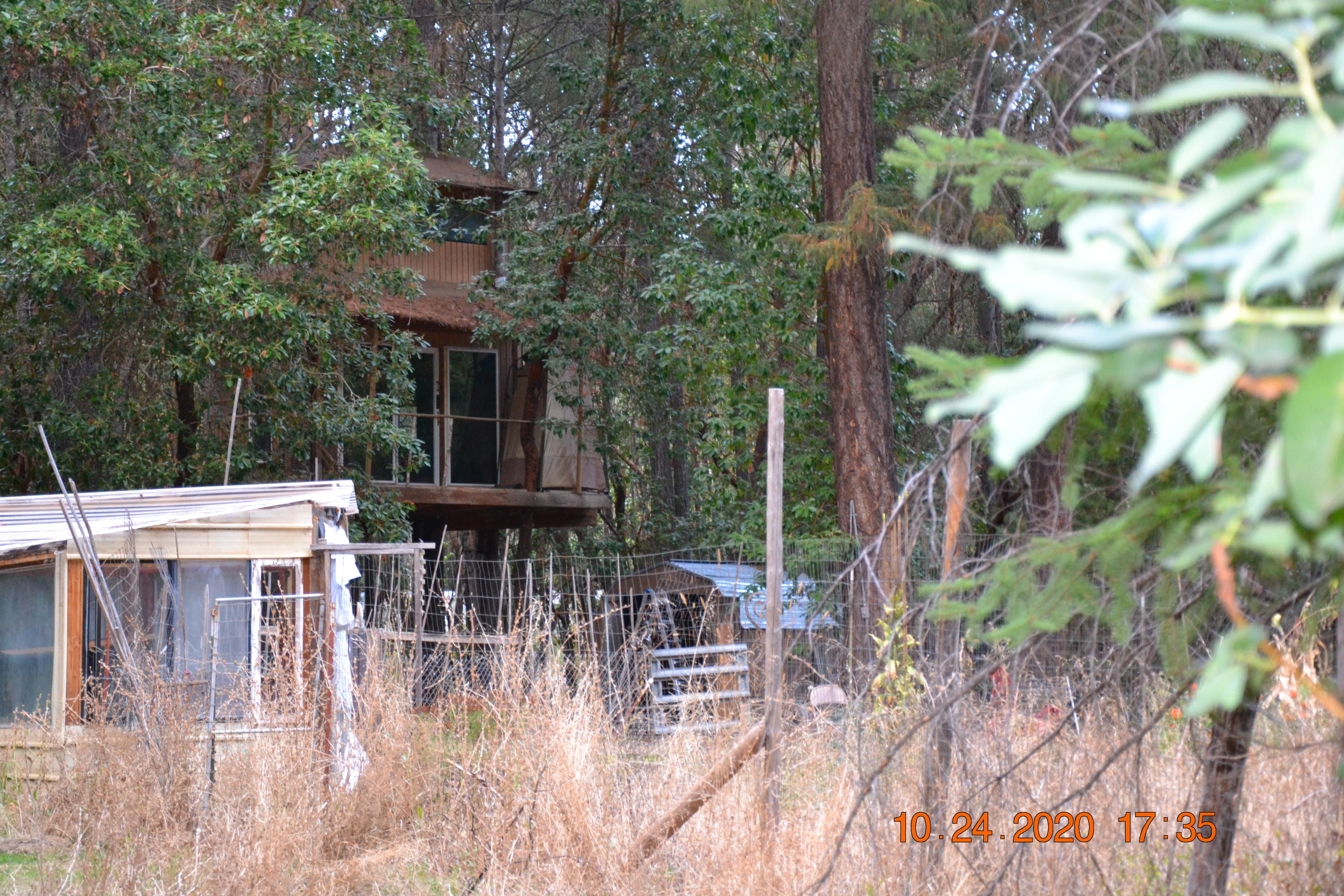 15567 Water Gap Road Williams, OR 97544 - Photo 27 of 36 Tree house