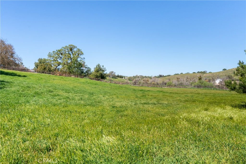 6446 Windmill Place Paso Robles, CA 93446 - Photo 36 of 44 a view of a green field with trees in the background