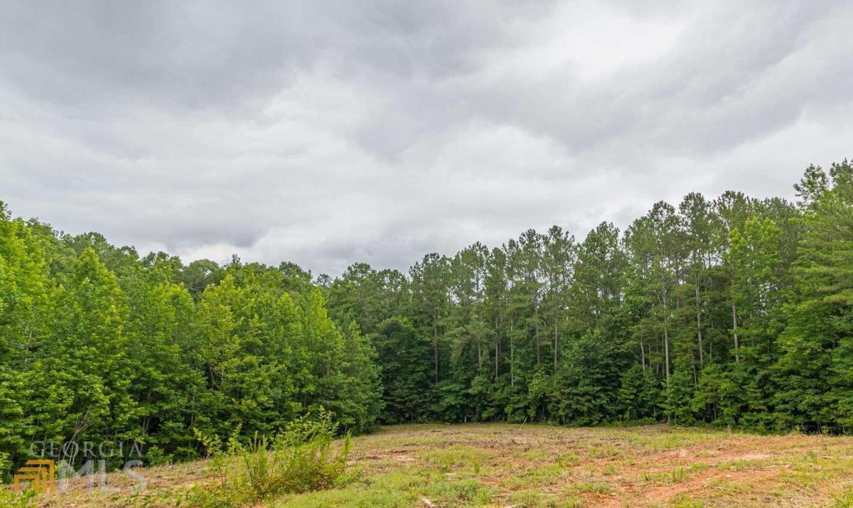 0 Helton Road Villa Rica, GA 30187 - Photo 1 of 1