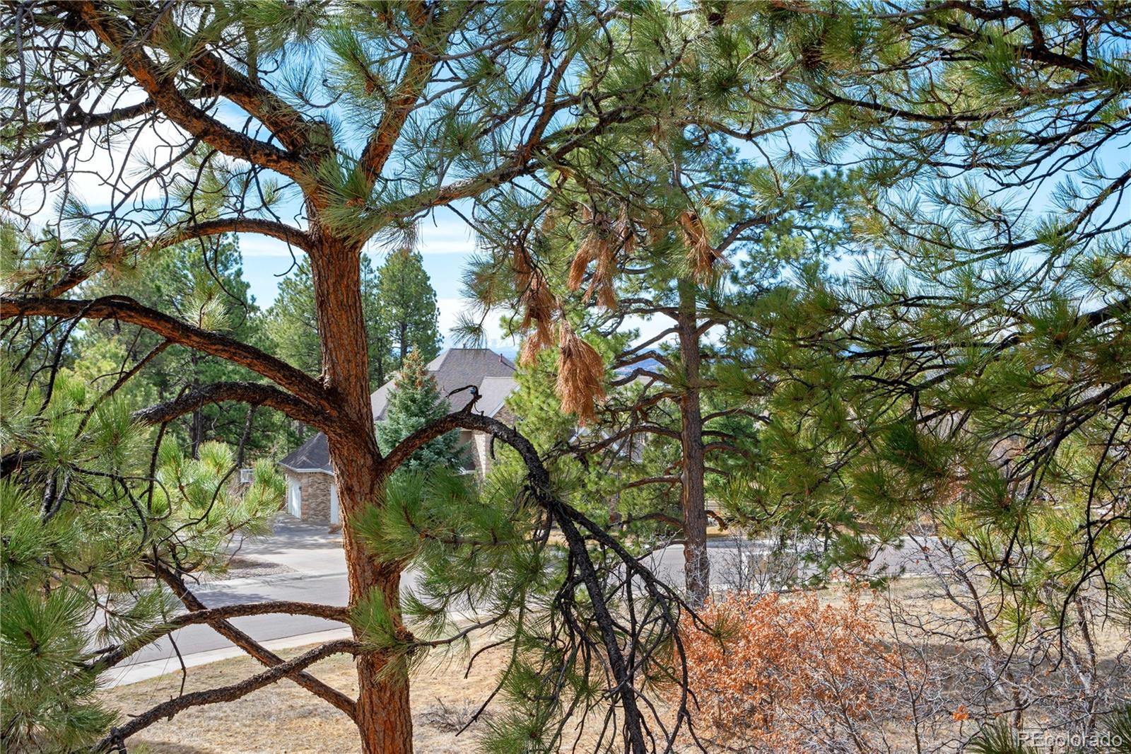 7957 Towhee Road Parker, CO 80134 - Photo 27 of 50 Gallery Image 27
