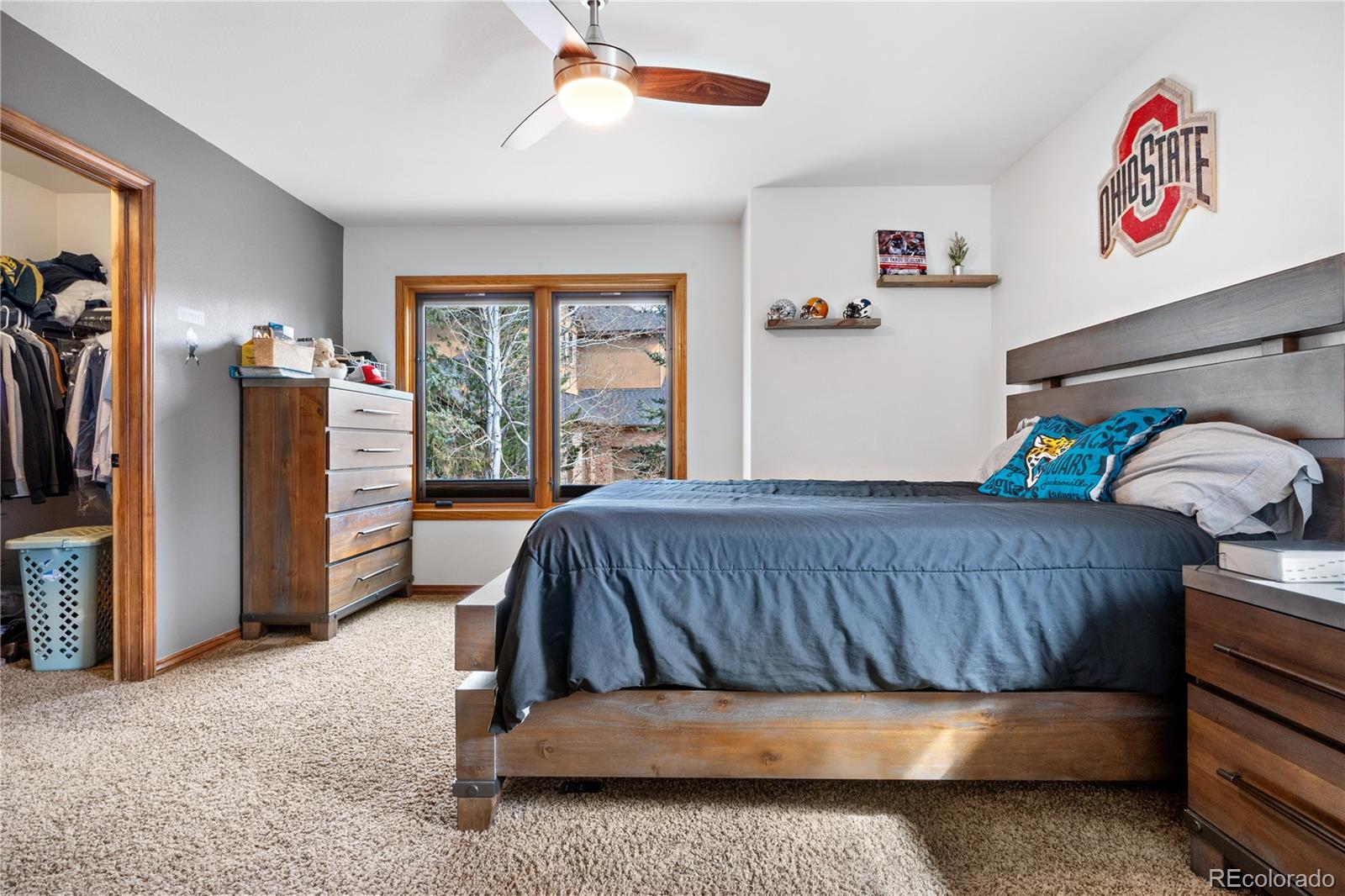 7957 Towhee Road Parker, CO 80134 - Photo 32 of 50 Gallery Image 32