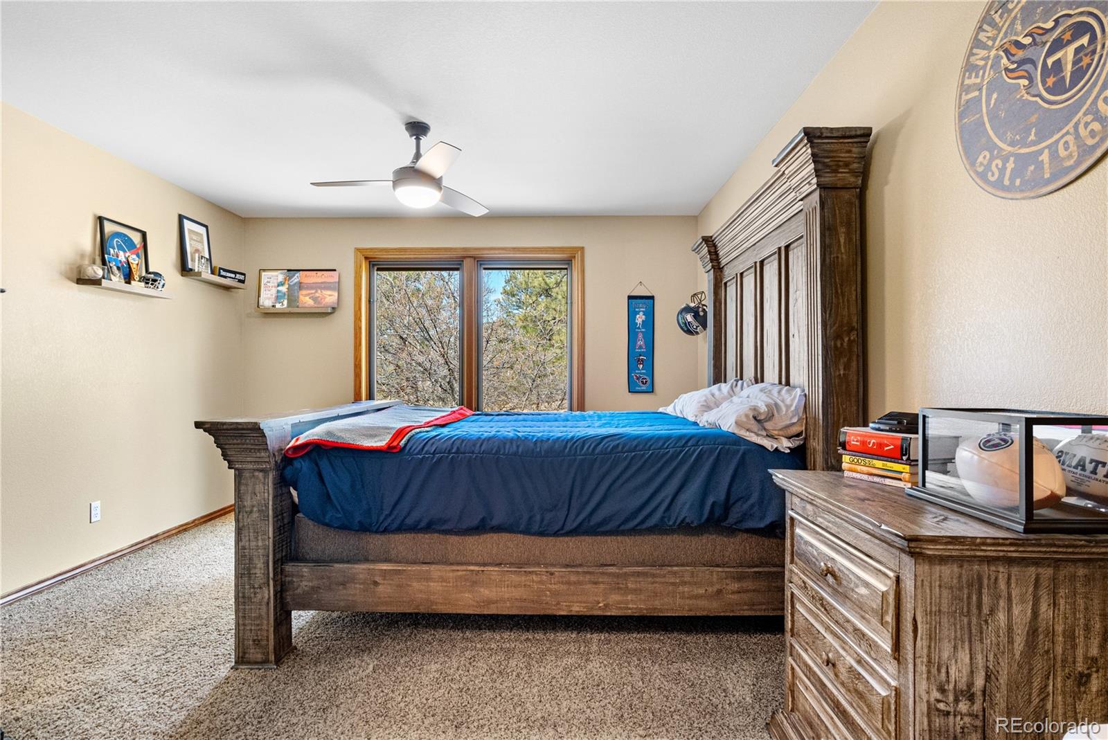 7957 Towhee Road Parker, CO 80134 - Photo 33 of 50 Gallery Image 33