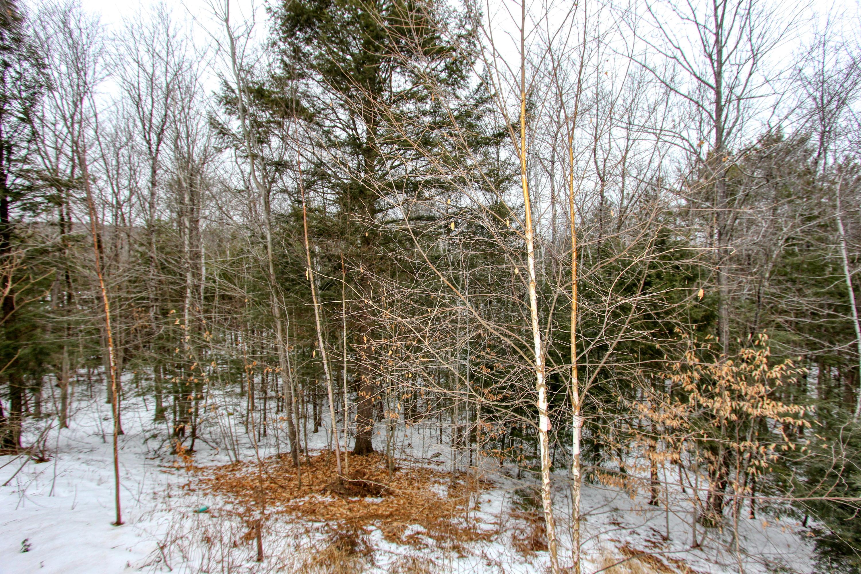 110 Pratt Road Bowdoinham, ME 04008 - Photo 17 of 22 IMG_1513_16