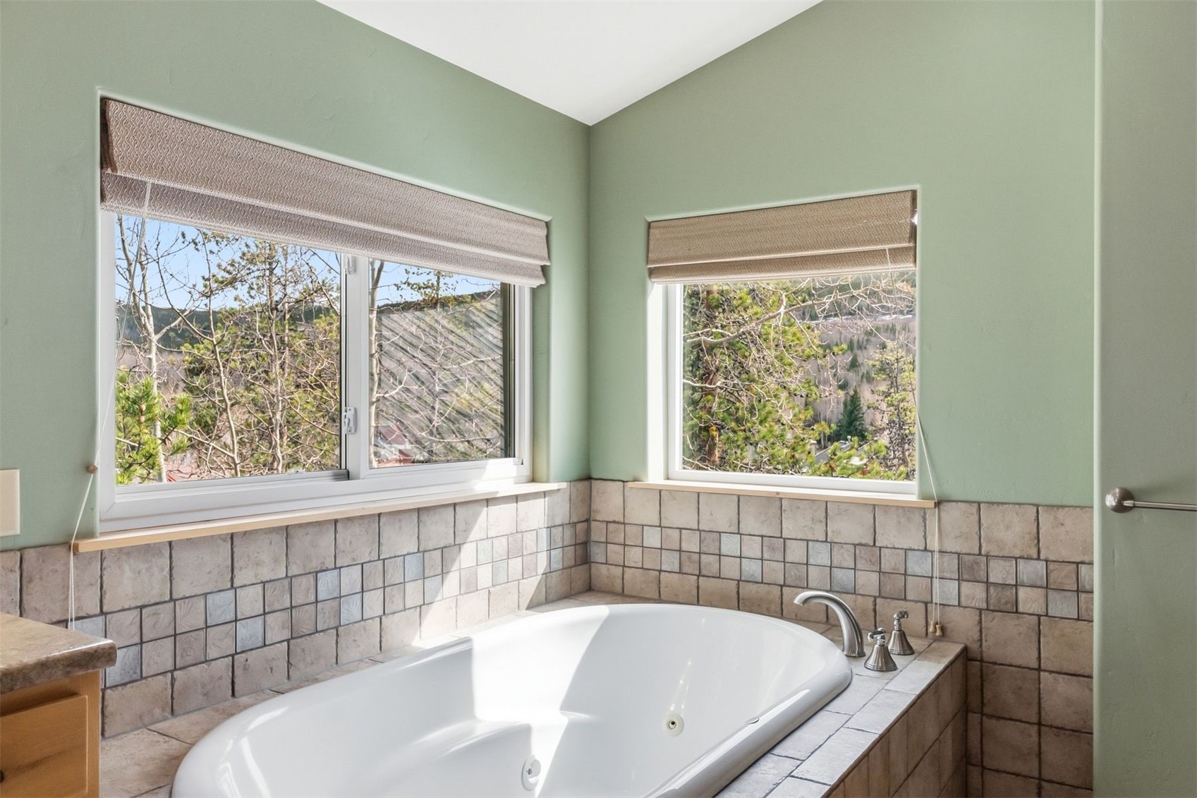515 Pitkin Street Frisco, CO 80443 - Photo 36 of 50 a bathroom with a tub and window