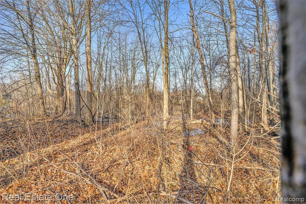 29595 Hickey Road Chesterfield, MI 48051 - Photo 24 of 31