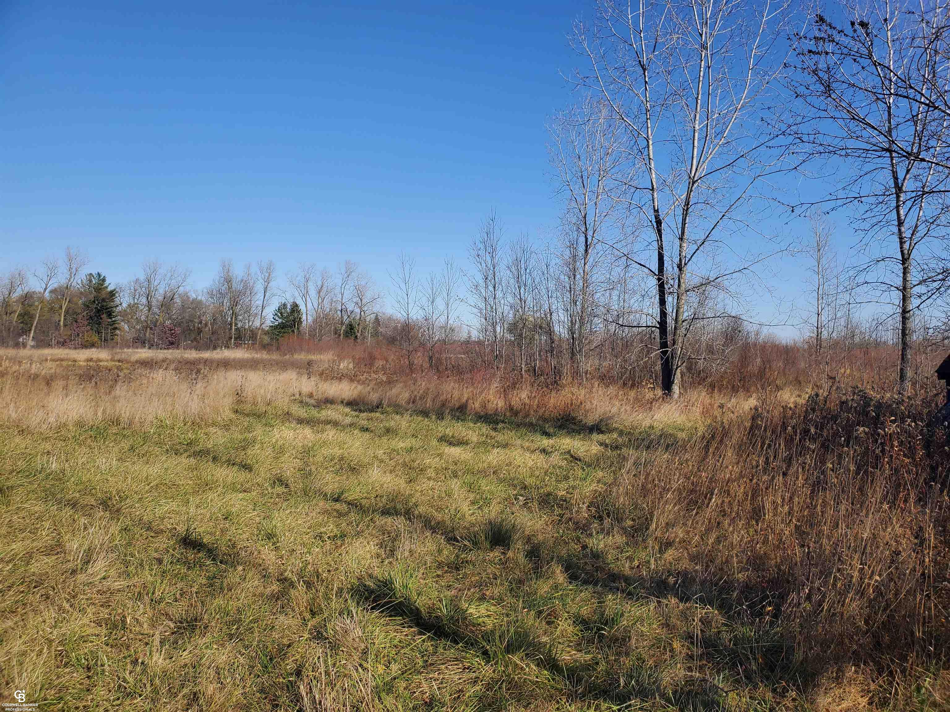 Mason Rd Ville Yale, MI 48097 - Photo 6 of 21