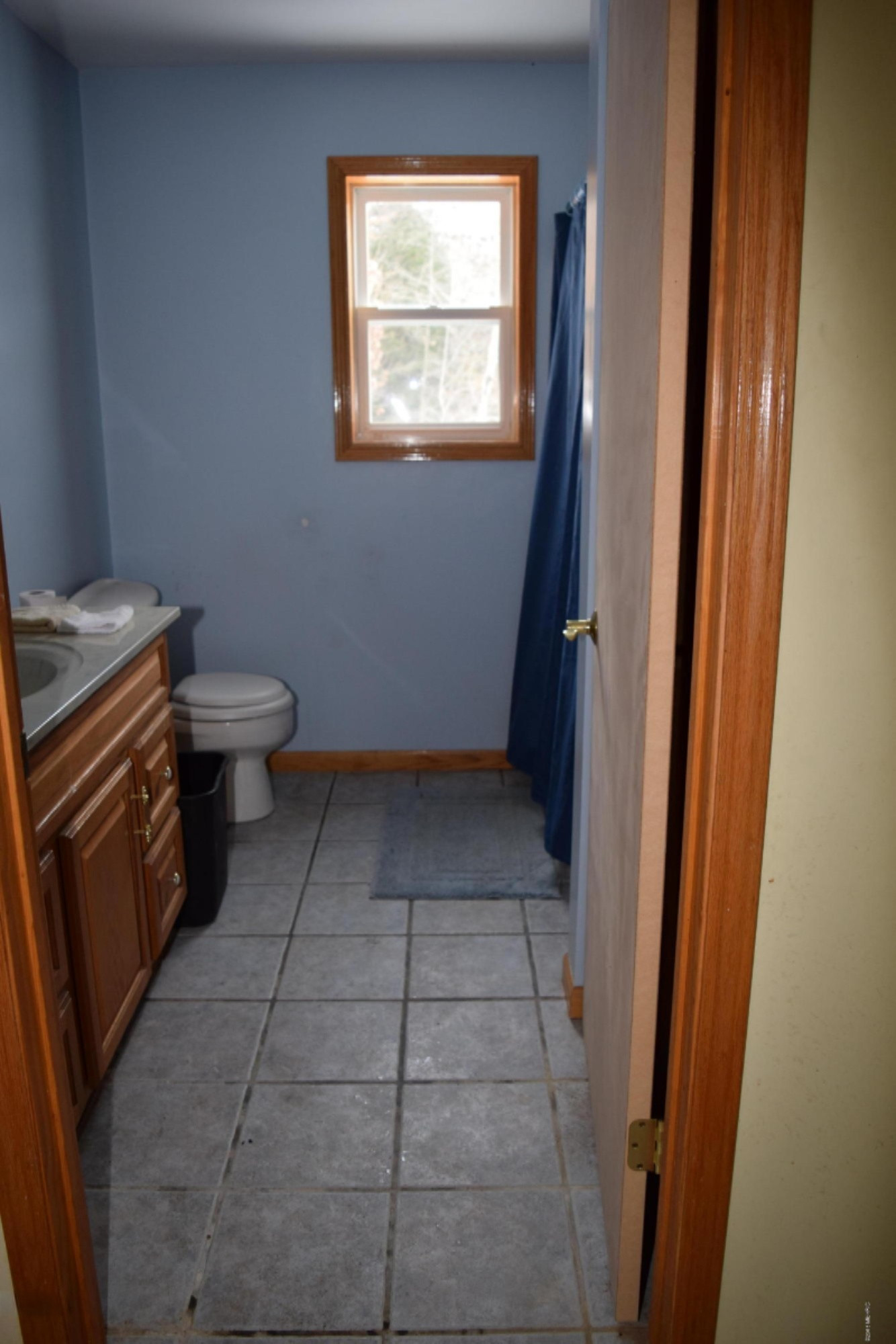 13291 Johnson Road Brethren, MI 49619 - Photo 21 of 39 DSC_0173
