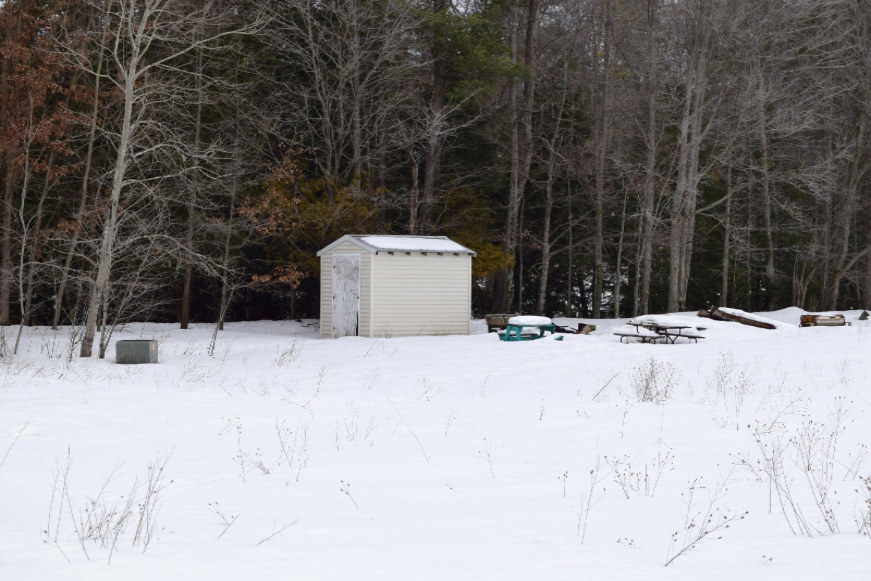 13291 Johnson Road Brethren, MI 49619 - Photo 37 of 39 DSC_0152