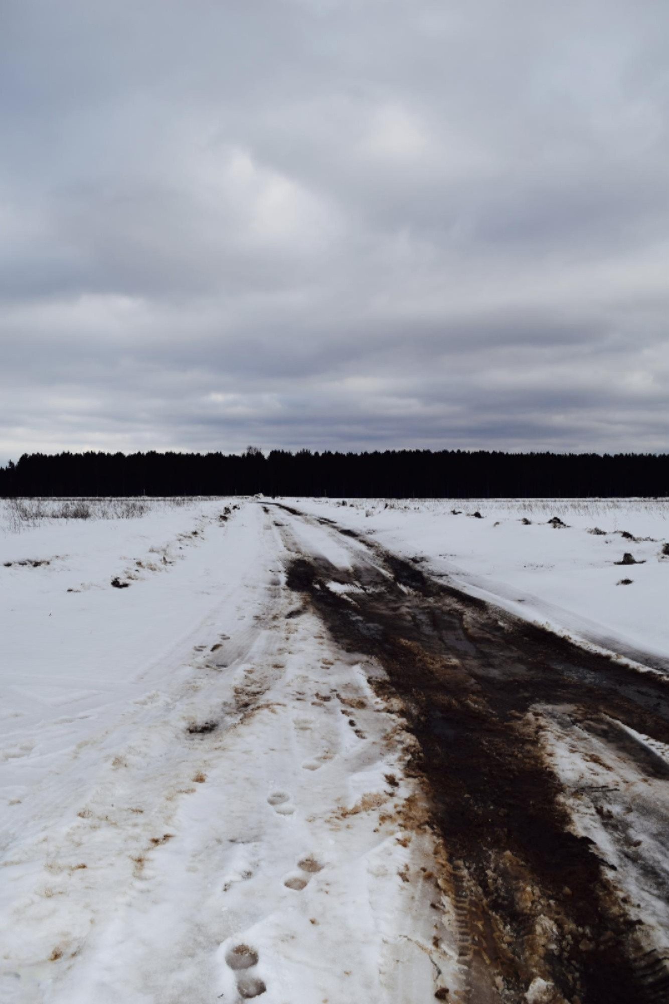 13291 Johnson Road Brethren, MI 49619 - Photo 39 of 39 DSC_0194