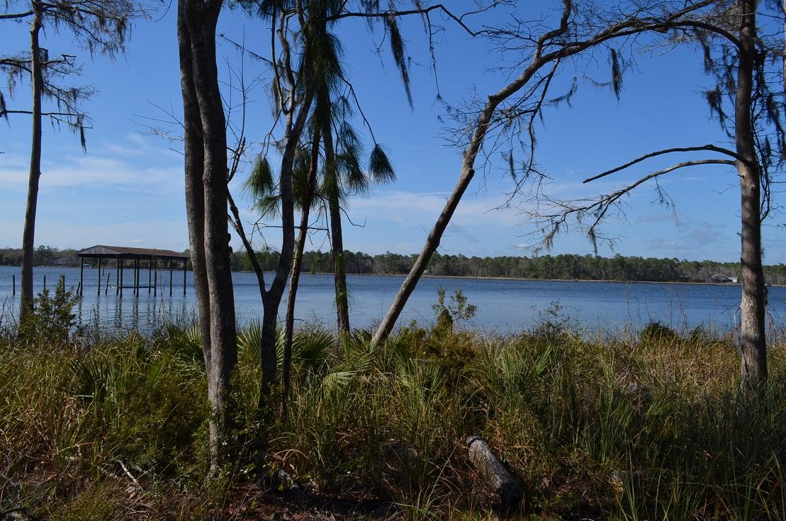 1326 Lagrange Road Freeport, FL 32439 - Photo 4 of 12 Gallery Image 4