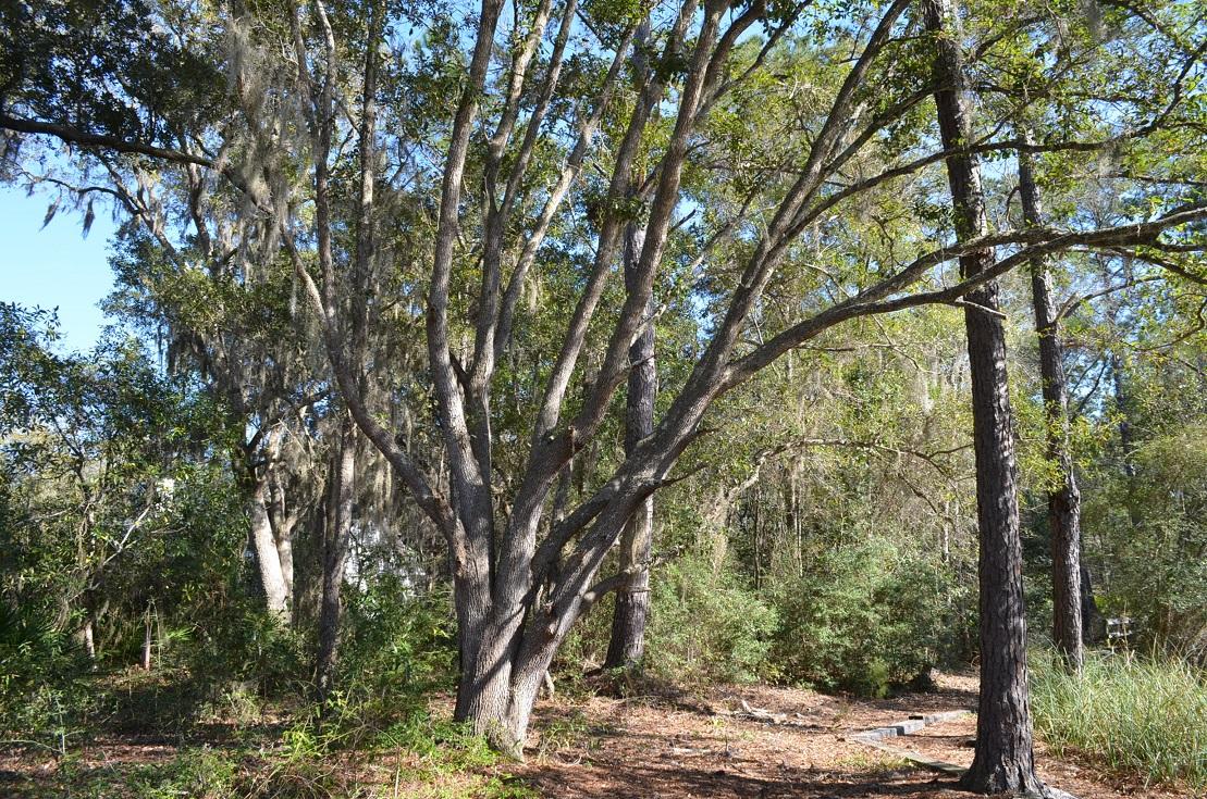 1326 Lagrange Road Freeport, FL 32439 - Photo 7 of 12 Gallery Image 7