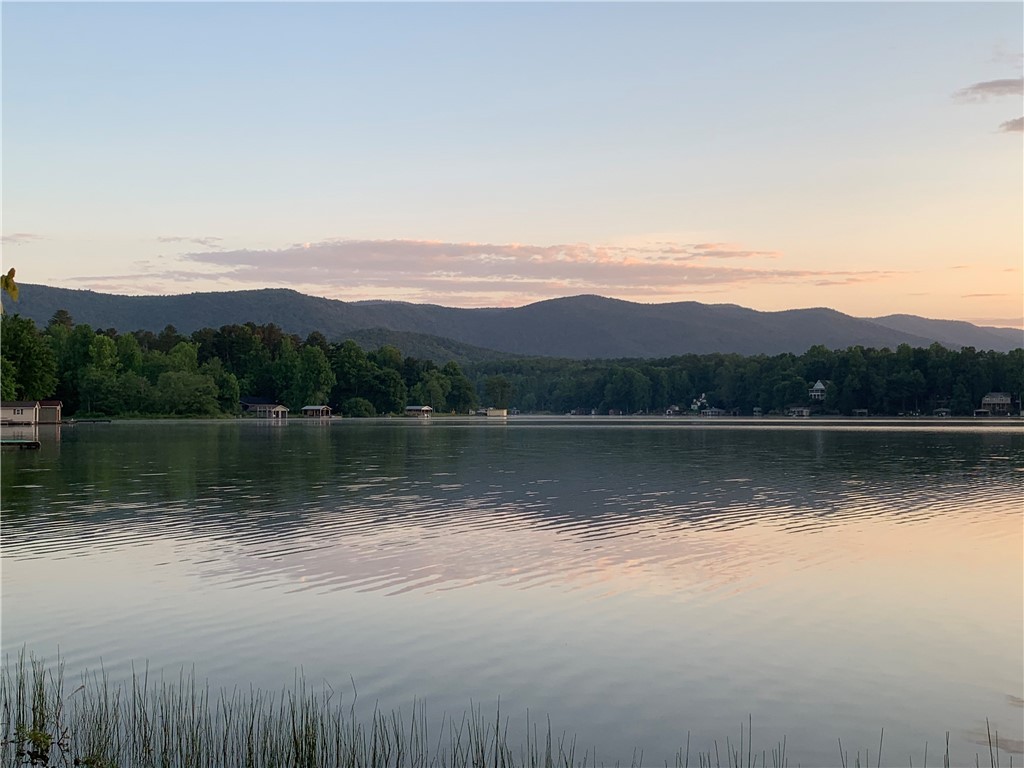 905 Point Place Tamassee, SC 29686 - Photo 4 of 7