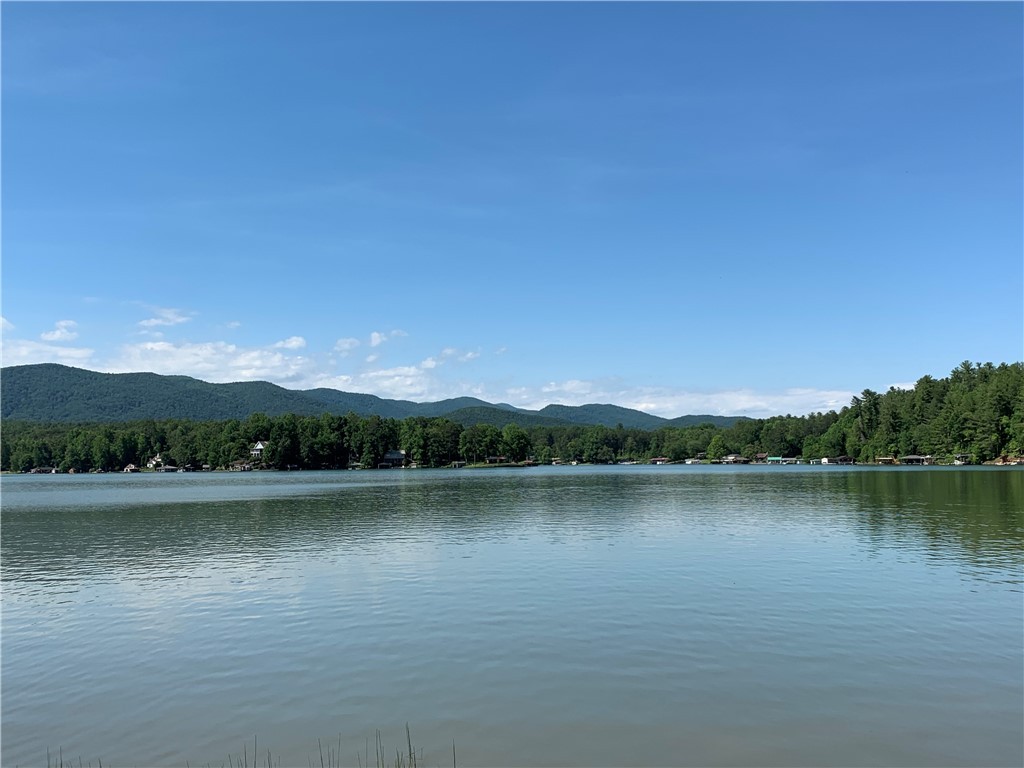 905 Point Place Tamassee, SC 29686 - Photo 5 of 7