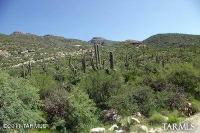 12161 East Coronado Road Tucson, AZ 85749 - Photo 3 of 11 Gallery Image 3