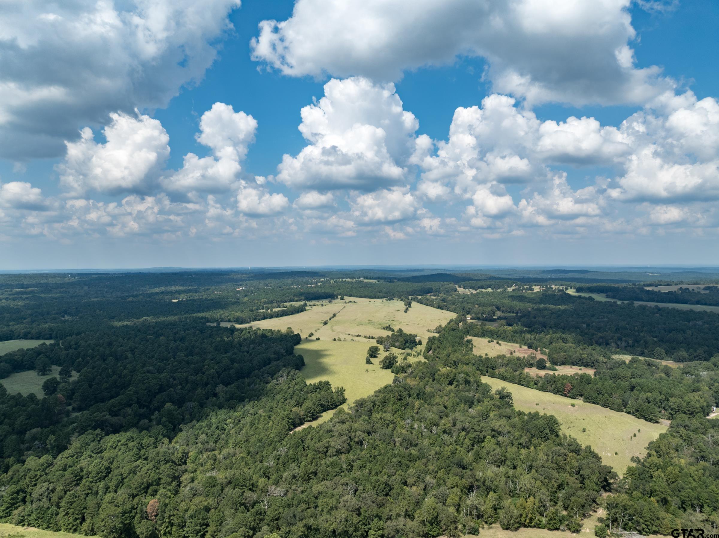 2 An County Road 153 Palestine, TX 75801 - Photo 6 of 11 a view of a lake in middle of forest