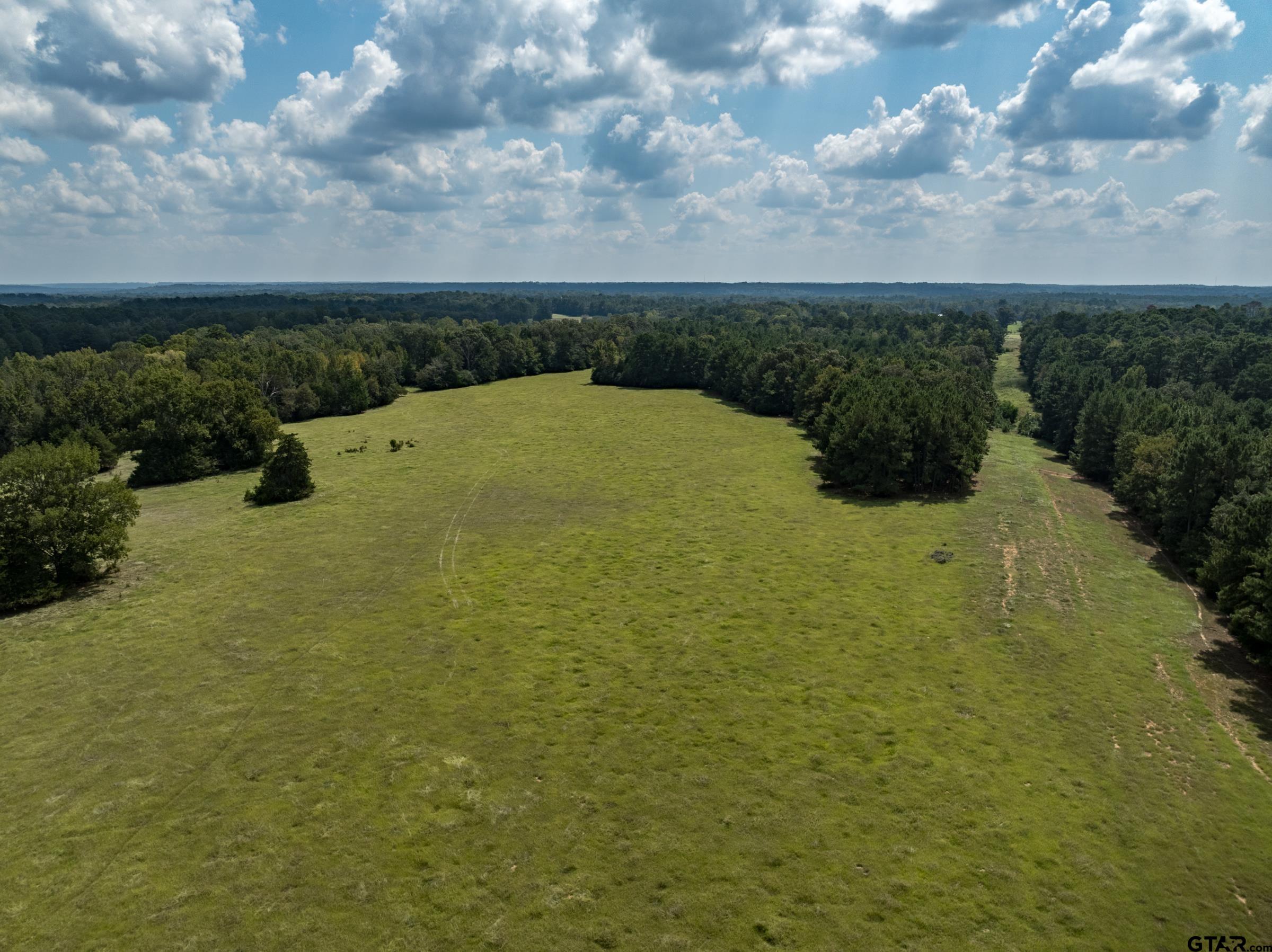 2 An County Road 153 Palestine, TX 75801 - Photo 8 of 11 a view of a yard with an outdoor space