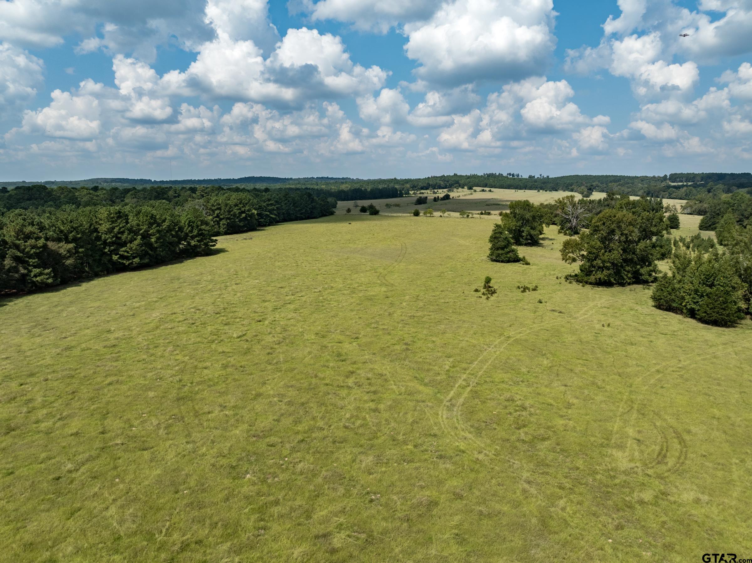 2 An County Road 153 Palestine, TX 75801 - Photo 10 of 11 a view of a lake with houses in the back