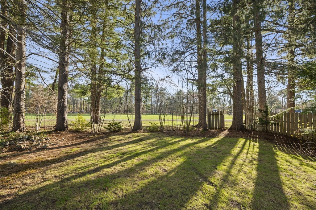 110 Linden Street Hamilton, MA 01982 - Photo 24 of 25 a view of backyard with wooden fence and large trees