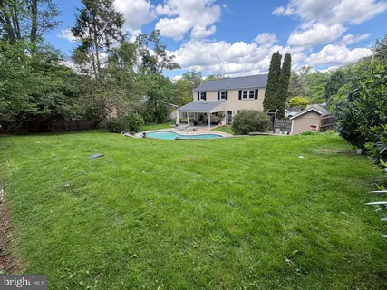 a view of a backyard with large trees and plants