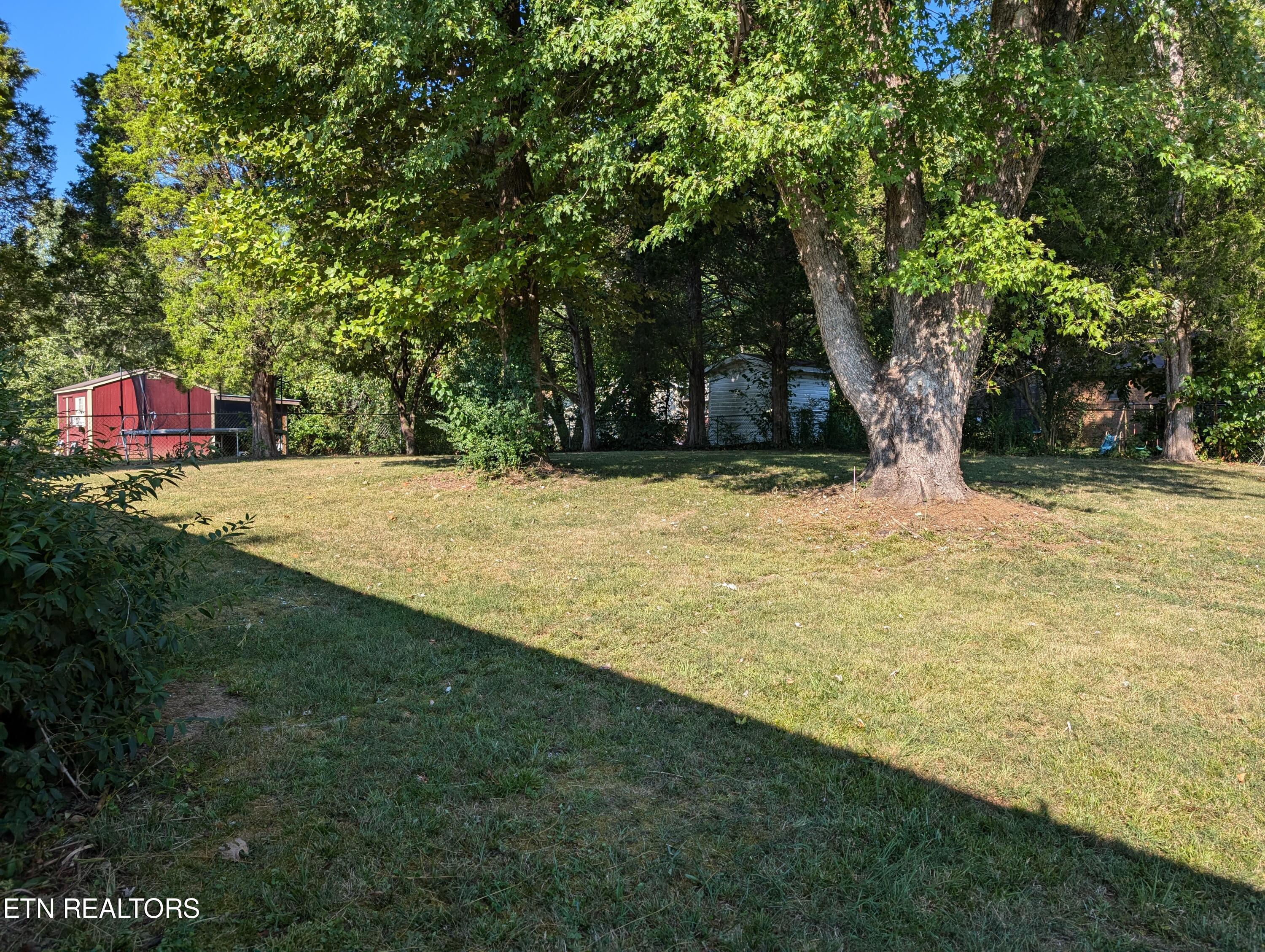 358 Walnut Street Spring City, TN 37381 - Photo 14 of 16 Gorgeous Hardwoods