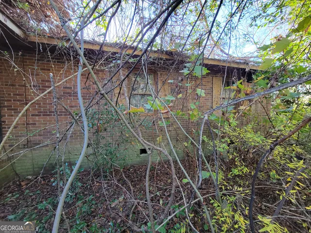 a view of a yard with plants and trees
